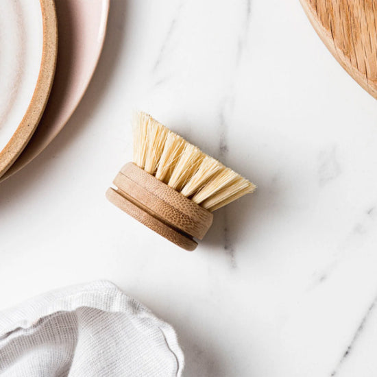 Ever eco bamboo dish brush replacement head. Plastic-free.