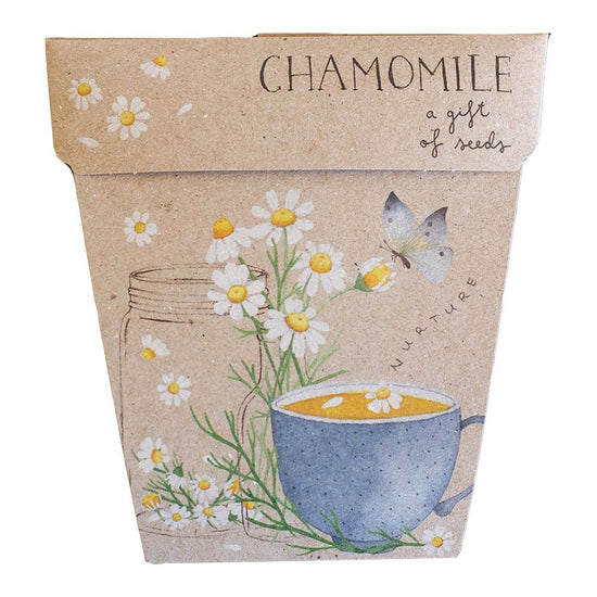 Chamomile gift of seeds gift card. Plastic free gift card with plantable seeds inside.