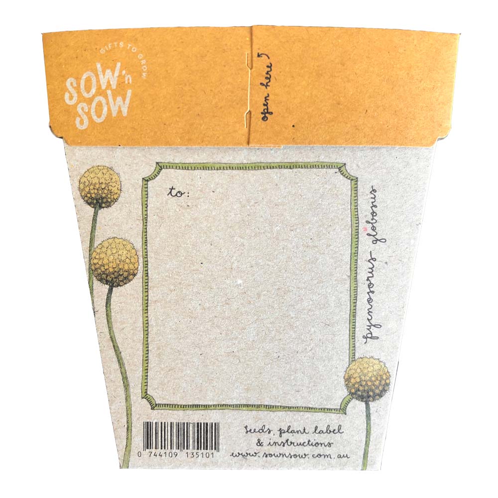 Load image into Gallery viewer, Back of sow n sow billy buttons gift of seeds where you can write a message. Gift card with plantable seeds inside.
