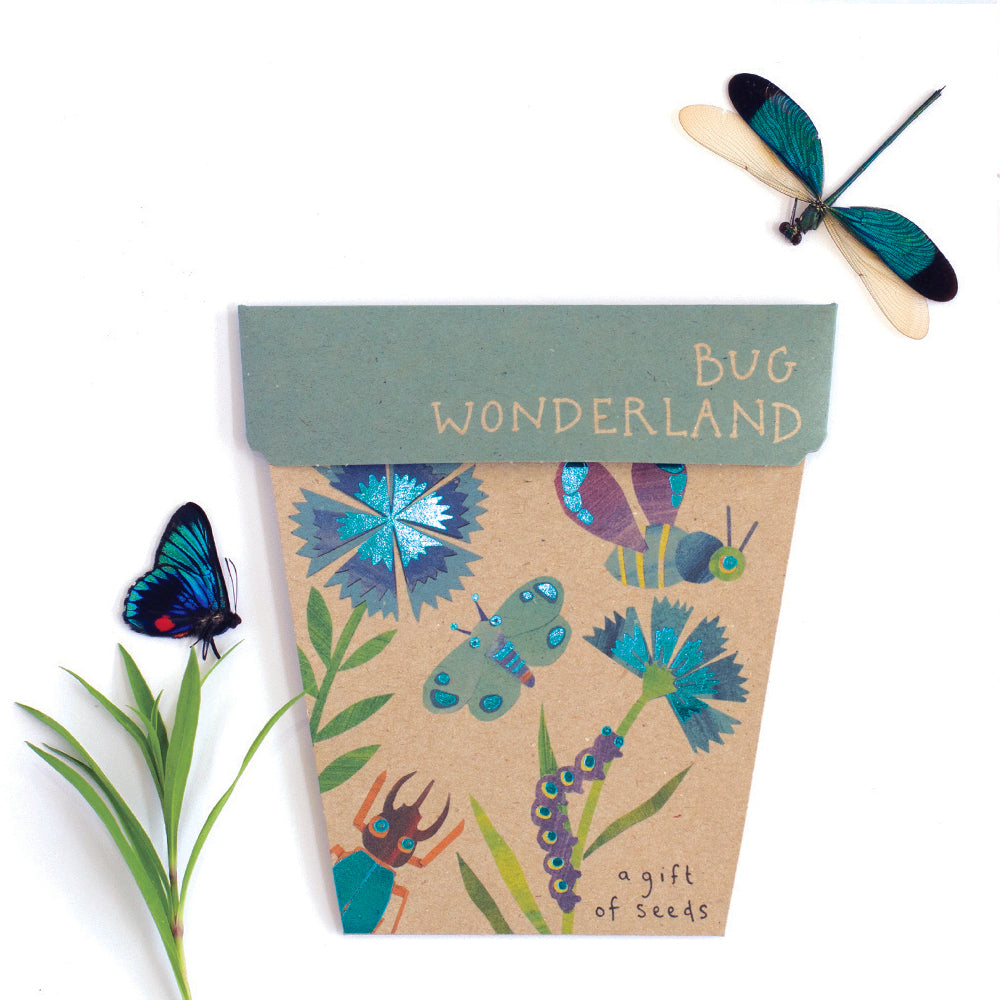 Bug wonderland gift of plantable seeds with gift card. Adelaide eco shop.